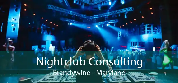 Nightclub Consulting Brandywine - Maryland
